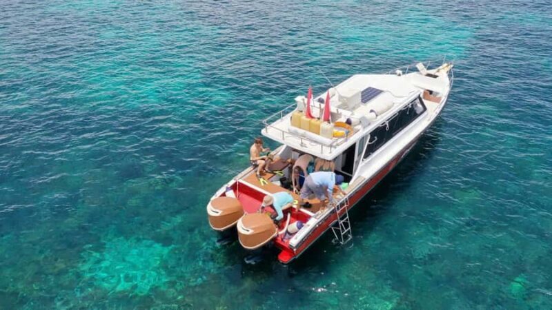 Labuan Bajo: One Day Komodo Tour & Snorkeling - What to Expect from the Tour