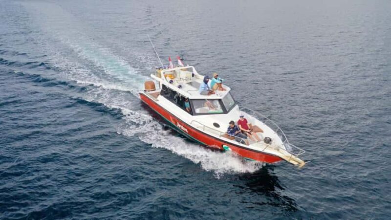 Labuan Bajo: One Day Komodo Tour & Snorkeling - The Sum Up