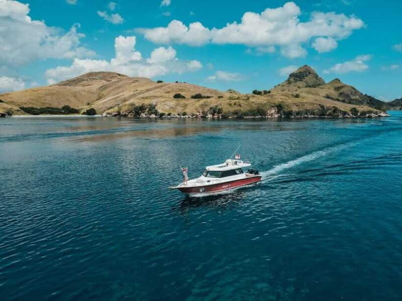 Labuan Bajo: One Day Komodo Tour & Snorkeling - FAQs