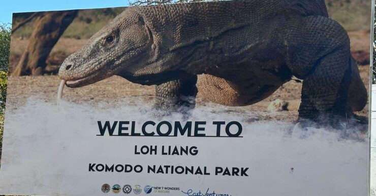 Labuan Bajo: One Day Tour to Explore Komodo National Park - Best Time to Visit Komodo National Park