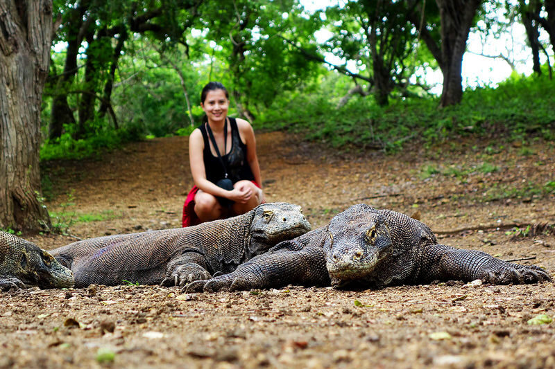 Labuan Bajo Padar & Kanawa Islands Full-Day Island Hopping Tour - An early start for a full day out