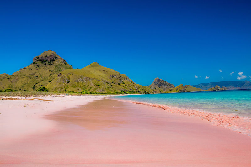 Labuan Bajo Padar & Kanawa Islands Full-Day Island Hopping Tour - Komodo Island adds a wildlife walk