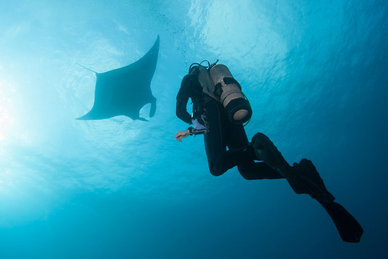 Labuan Bajo Padar & Kanawa Islands Full-Day Island Hopping Tour - Taka Makassar and Manta Point bring the marine highlights