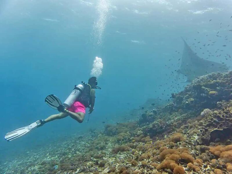 Labuan Bajo: Sunset Panorama, National Park - Practical Tips for Travelers