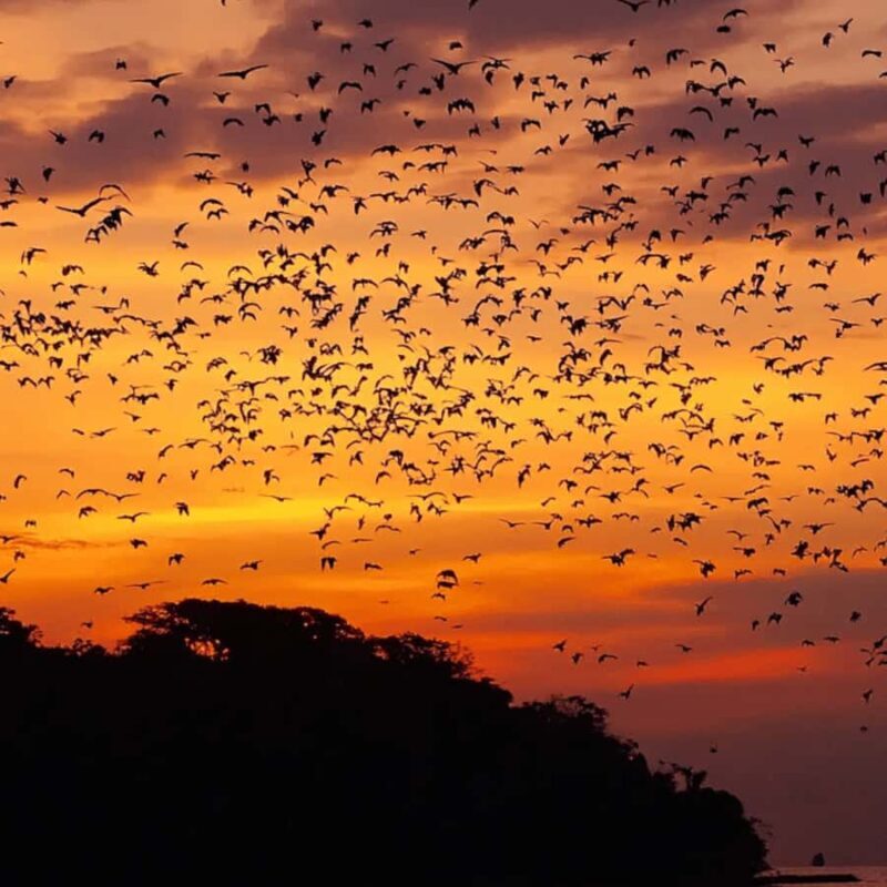 Labuan Bajo Sunset Trip  Explore 3 Destinations - Good To Know