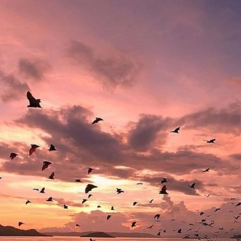 Labuan Bajo Sunset Trip  Explore 3 Destinations - The Itinerary Breakdown