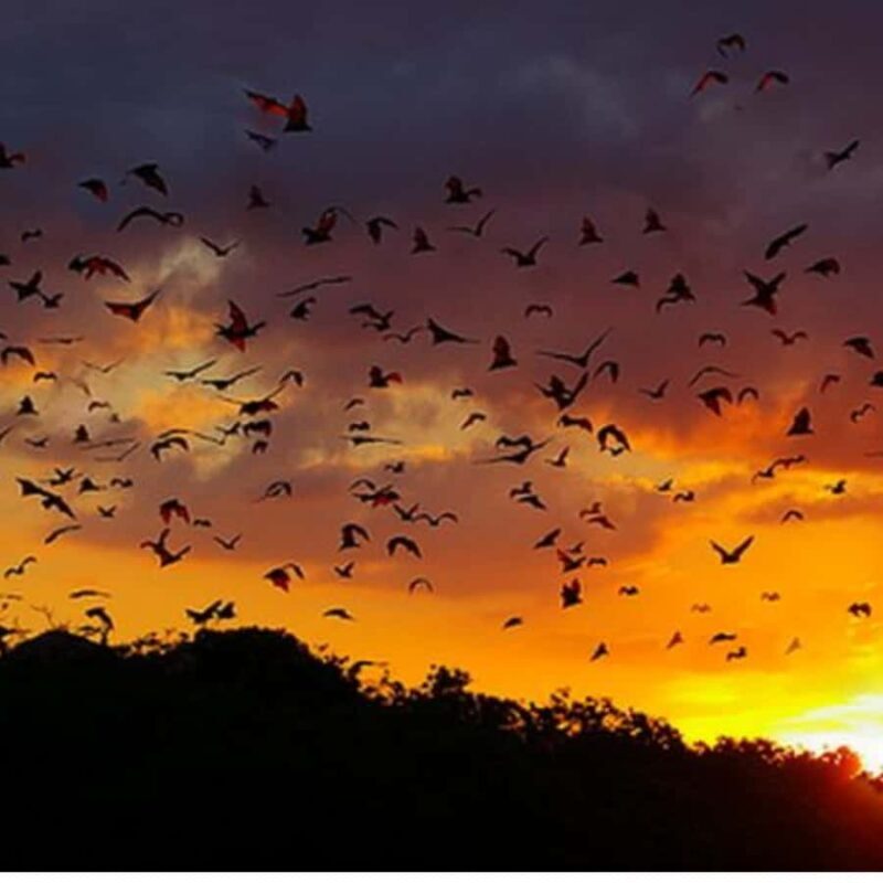 Labuan Bajo Sunset Trip  Explore 3 Destinations - Authentic Insights from Reviews