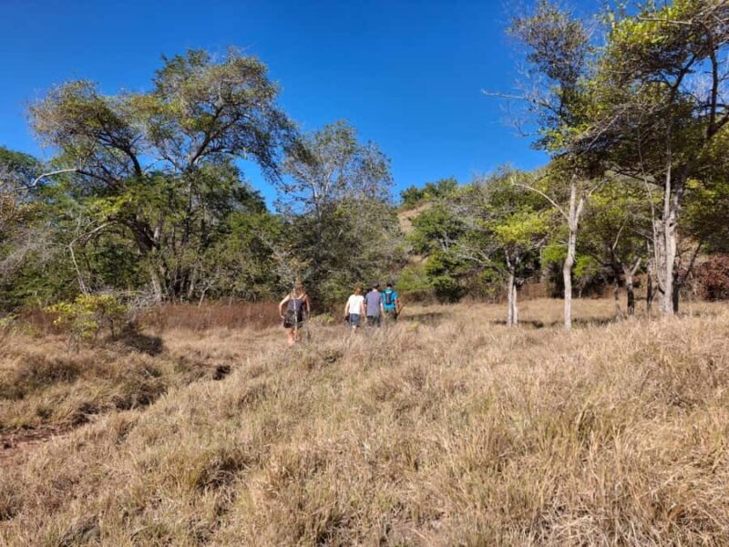 Labuan Bajo:3-Day Private Komodo National Park Eco Boat Tour - FAQ