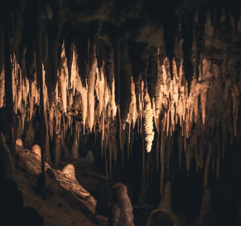 Labuan Bajo:Batu Cermin, Rangko Cave, Sylvia Hill & Waringin - Who Should Consider This Tour?