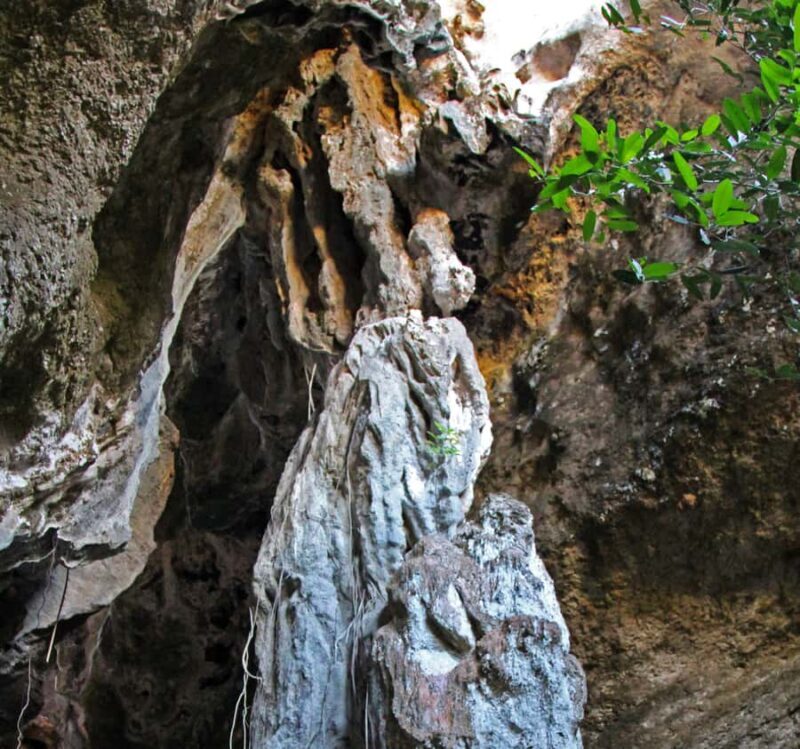 Labuan Bajo:Batu Cermin, Rangko Cave, Sylvia Hill & Waringin - Who Should Consider This Tour?
