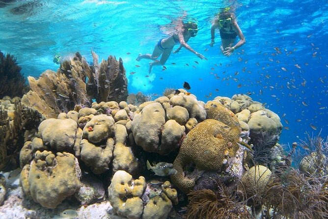 Lac Bay National Park Clear-Bottom Kayak and Snorkeling Tour  - Bonaire - Inclusions and Pickup Details