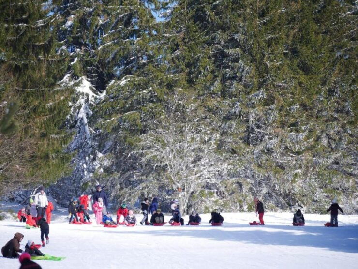 Lac Blanc: Snow Day Trip - Booking Information