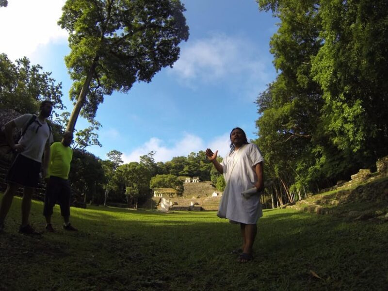 Lacandon Jungle Adventure and Bonampak Archaelogical Site - Transport, Guides, and Overall Value