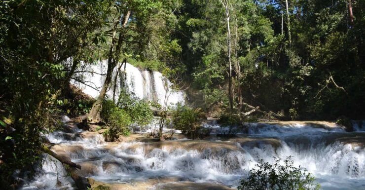 Lacandon Jungle Adventure and Bonampak Archaelogical Site - Itinerary and Activities