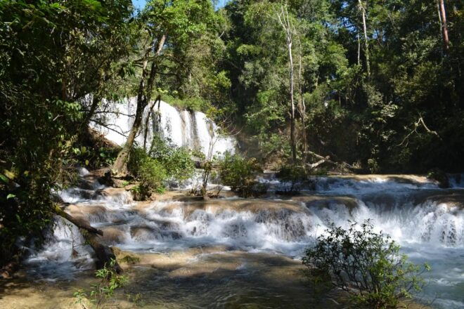 Lacandon Jungle Adventure and Bonampak Archaelogical Site - Highlights and Experiences