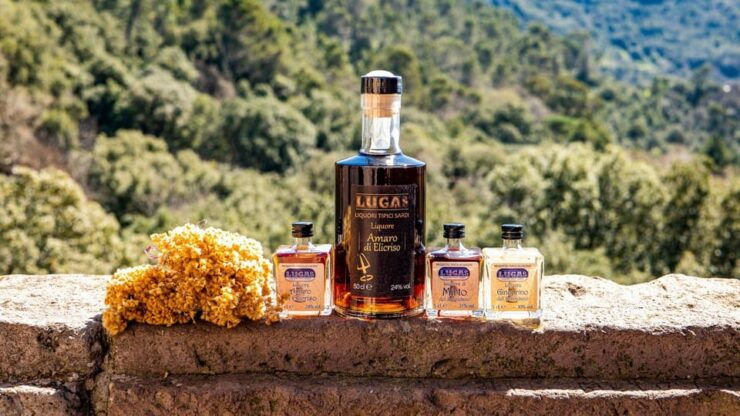 Laconi: Chocolate and Typical Liqueurs Tasting - Good To Know