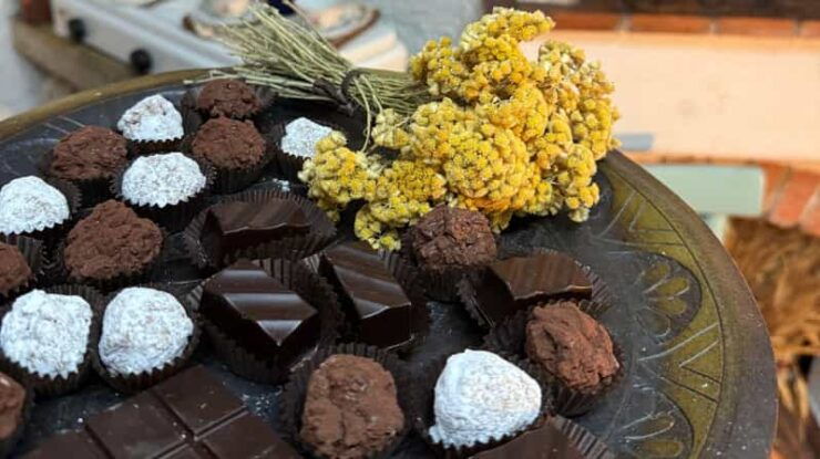 Laconi: Chocolate and Typical Liqueurs Tasting - Guided Tour and Tasting