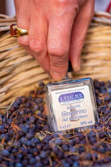 Laconi: Chocolate and Typical Liqueurs Tasting - Meeting Point and Logistics