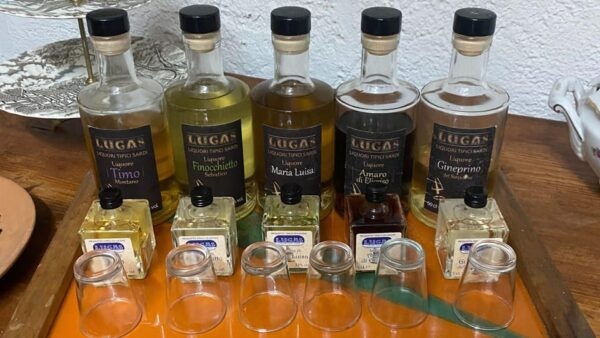 Laconi: Chocolate and Typical Liqueurs Tasting - Aromatic Plant Discovery