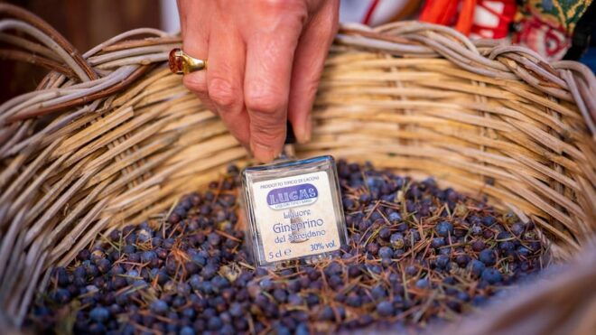 Laconi: Chocolate and Typical Liqueurs Workshop W/ Tasting - Chocolates to Take Home