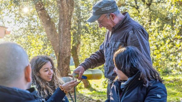 Laconi: Truffle Hunting Experience With Aperitif - Frequently Asked Questions