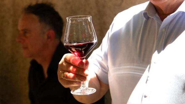 Laconi: Visit a Winery With Wine Tasting - Allergies and Intolerances