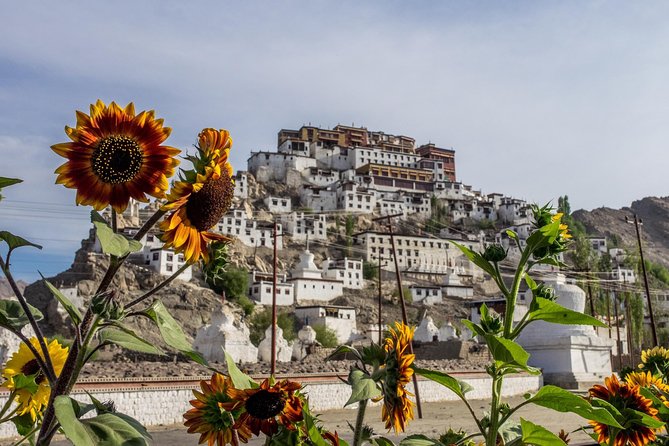 Laddakh Valley Tour (Leh, Nubra & Pangong Lake) - Tour Guide and Permits