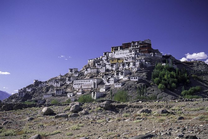 Laddakh Valley Tour (Leh, Nubra & Pangong Lake) - Customer Reviews and Cancellation Policy