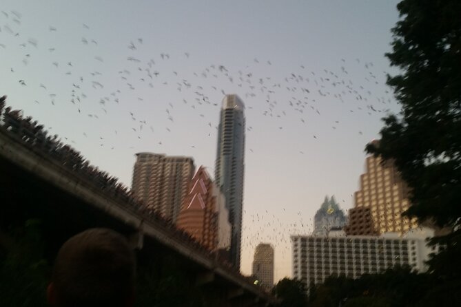 Lady Bird Lake Bike Tour in Austin - Common Questions