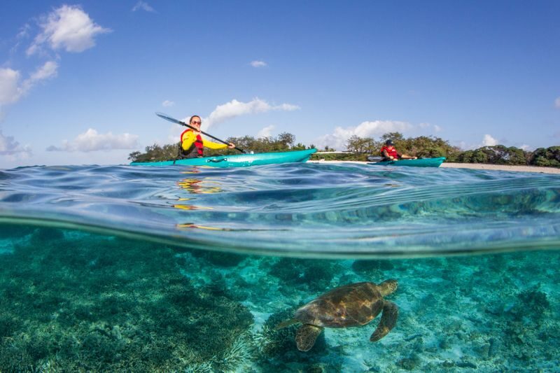 Lady Elliot Island Day Tour from Bundaberg - From Bundaberg airport to a coral cay