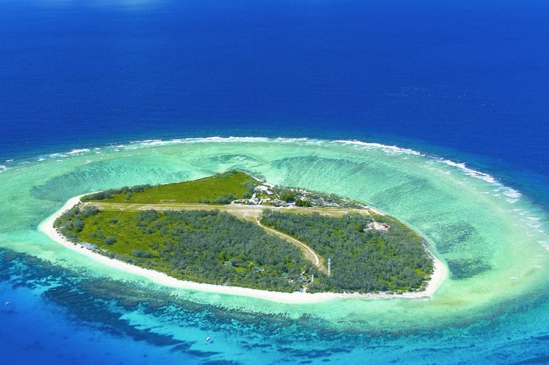 Lady Elliot Island Great Barrier Reef Tour from Gold Coast/ Brisbane - What to know before you book
