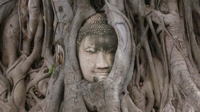 Laem Chabang Port: Bangkok and Ayutthaya 2-Day Guide Tour - Transportation, Timing, and Group Size