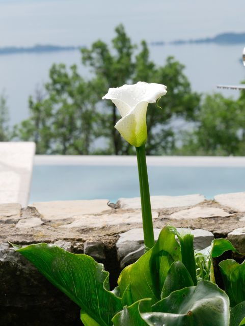 Lago Di Garda - Mini Day Yoga Retreats - Good To Know
