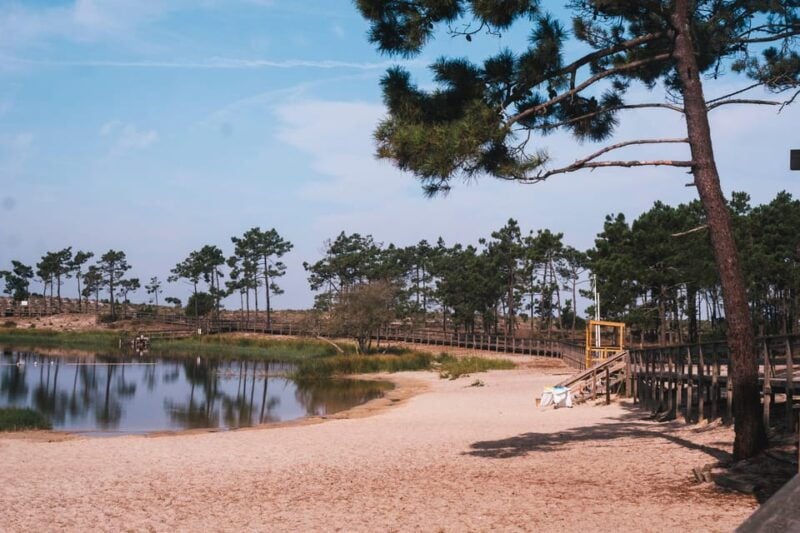 Lagoa da Ervedeira E-bike and Stand Up Paddle tour - Good To Know