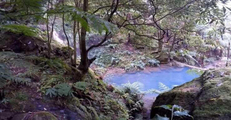 Lagoa Do Fogo: Volcano Geo Tour W/ Hot Springs - Volcanic Landscape Exploration