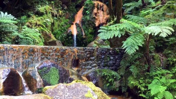 Lagoa Do Fogo: Volcano Geo Tour W/ Hot Springs - Customer Reviews