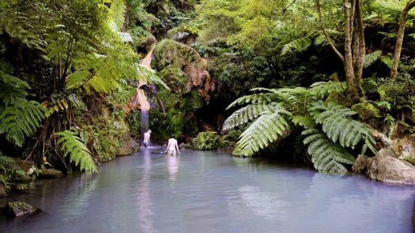 Lagoa Do Fogo: Volcano Geo Tour W/ Hot Springs - Common Questions