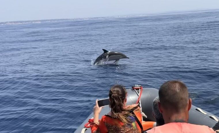 Lagoa: Dolphin Watching & Benagil Tour with Biologist Guide - Practical Tips for Making the Most of the Tour