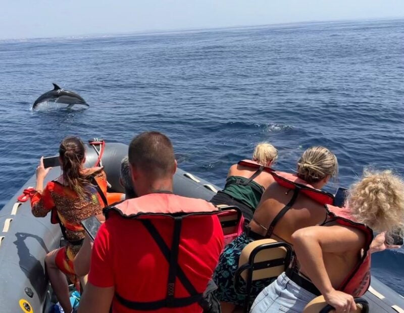 Lagoa: Dolphins Expedition with biologist guide on board - Introduction