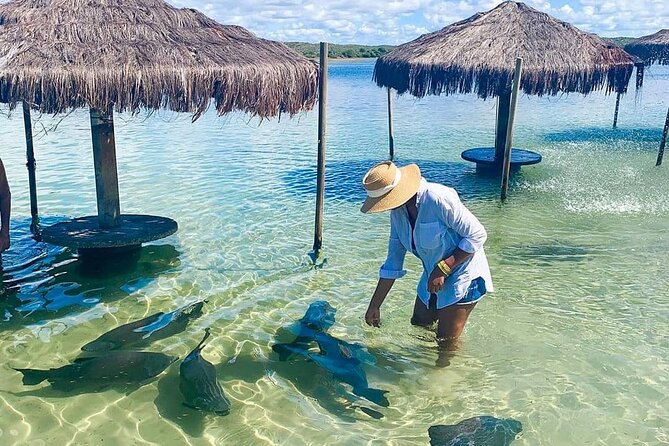 LAGOA DOS TAMBAQUIS (An Amazing Experience) - Location and Access