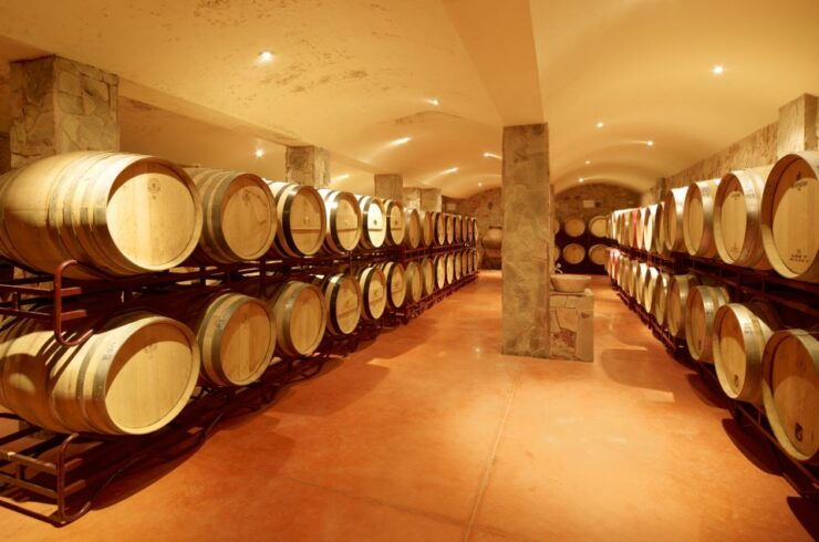 Lagoa: Guided Winery Tour and Local Wine Tasting - Activity Details
