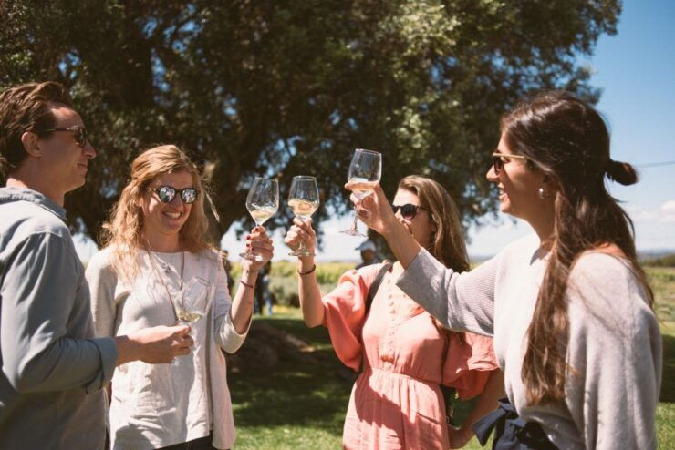 Lagoa: Vineyard Tour and Wine Tasting - Experience Highlights
