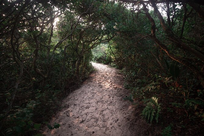 Lagoinha Do Leste Hiking and Photography Adventure - Meeting Details