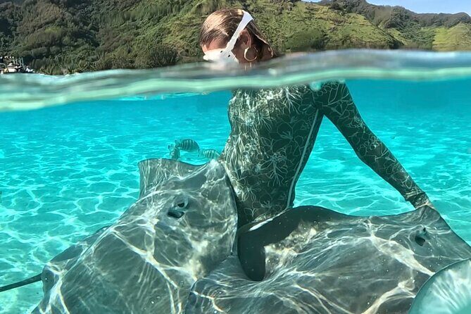 Lagoon and Marine Wildlife Tour in Moorea - Good To Know