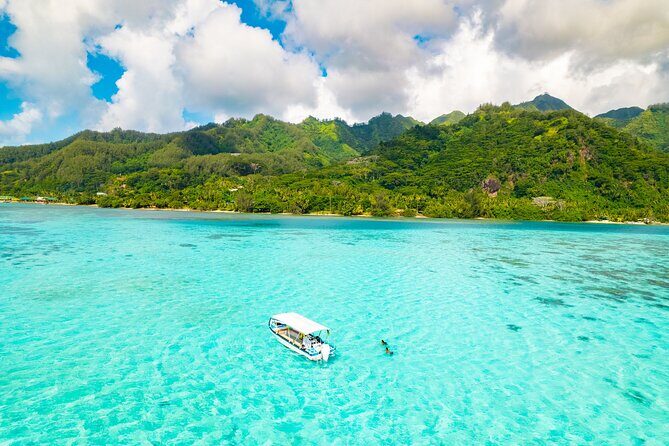 Lagoon and Marine Wildlife Tour in Moorea - Discovering Moorea’s Lagoon: An Authentic Marine Adventure