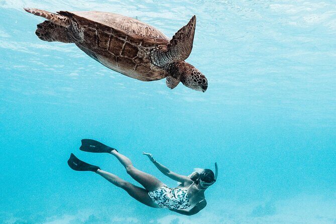 Lagoon and Wildlife Discovery on a Private Boat in Moorea - Why Choose the Lagoon and Wildlife Discovery Tour?