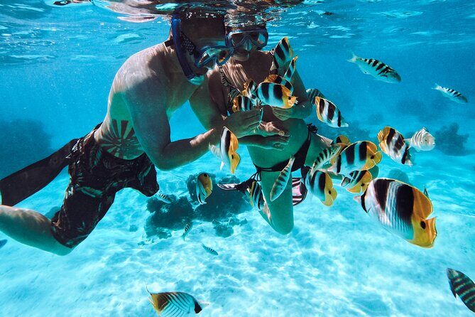 Lagoon and Wildlife Discovery on a Private Boat in Moorea - Practical Details: Timing, Booking, and What to Bring