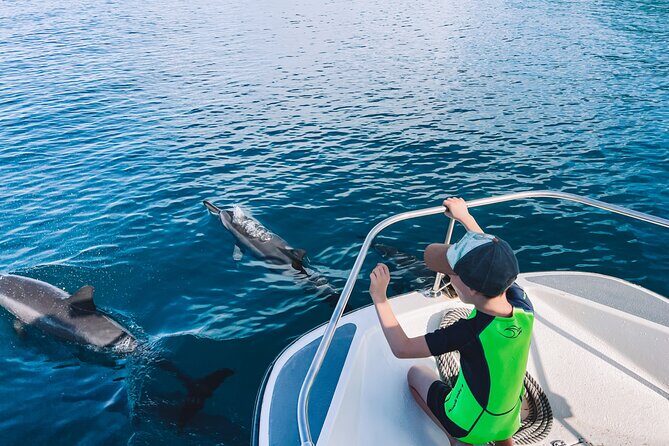 Lagoon and Wildlife Discovery on a Private Boat in Moorea - Who Would Love This Experience?
