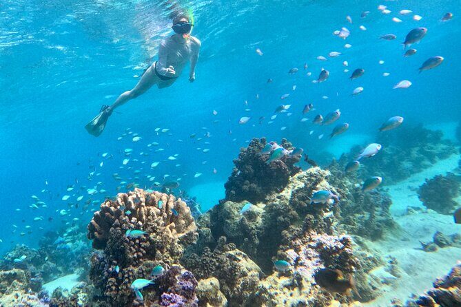 Lagoon and Wildlife Discovery on a Private Boat in Moorea - Final Thoughts: Is This Tour Worth It?