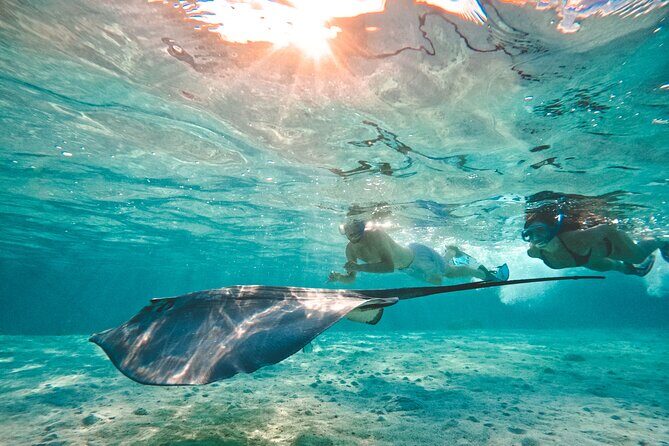 Lagoon and Wildlife Discovery on a Private Boat in Moorea - FAQ